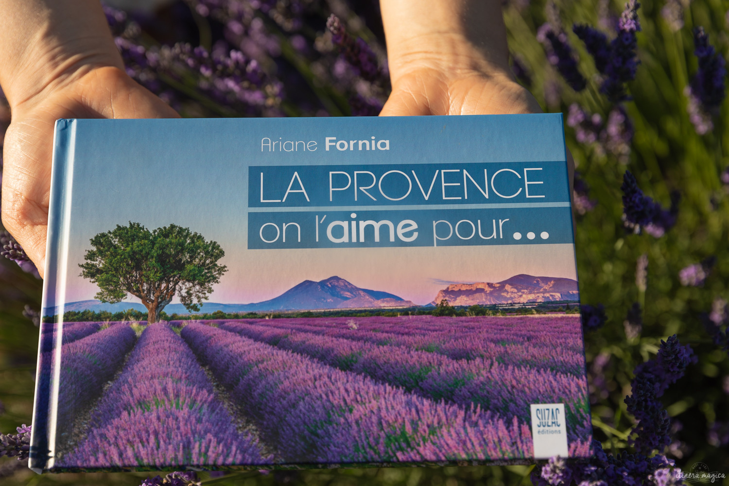 Mon nouveau livre sur la Provence  Itineramagica.com