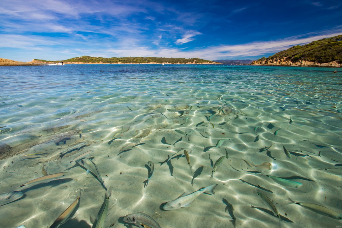 port cros plage du sud - Itinera Magica