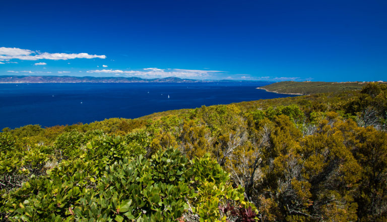 Lîle Du Levant La Méditerranée à Nu Itinera