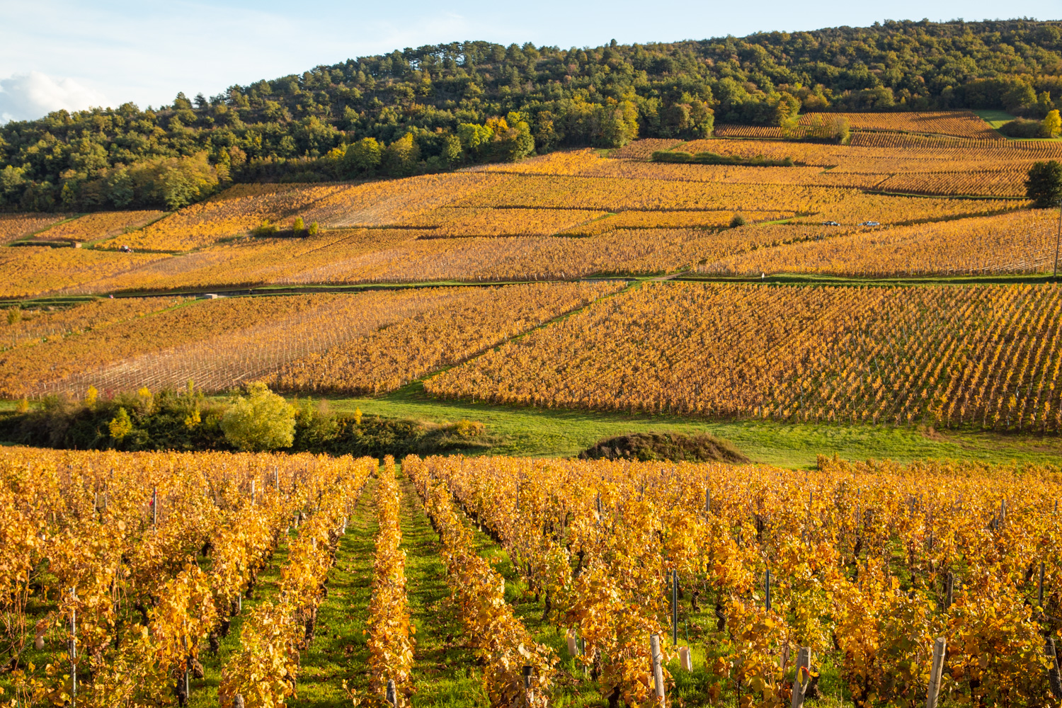 Bourgogne-en-automne-323 - Itinera Magica