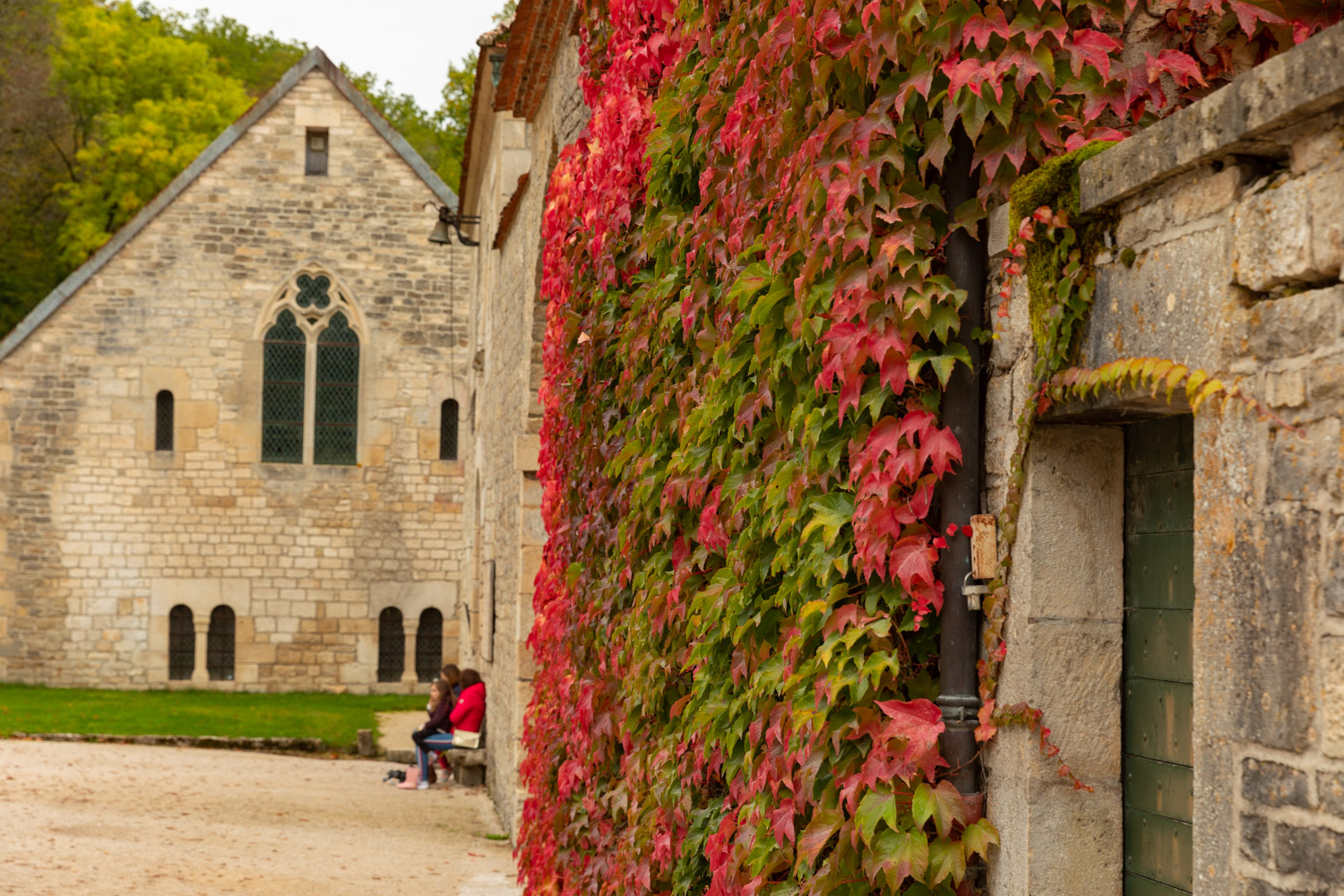 Bourgogne-en-automne-6 - Itinera Magica