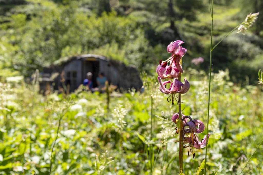 Que faire en Valbonnais, autour de Valjouffrey et Valsenestre? Refuge de Font Turbat et randonnées en montagne au coeur des Ecrins.