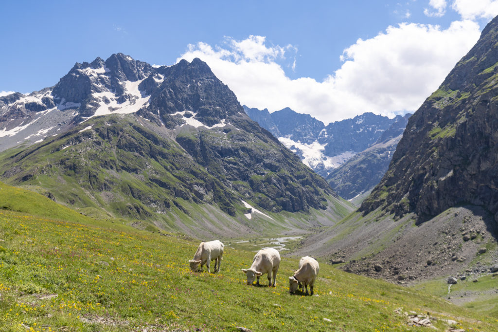 GR54 faire le grand tour des écrins et de l'oisans