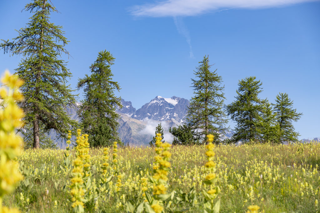 Col de pousterle GR54