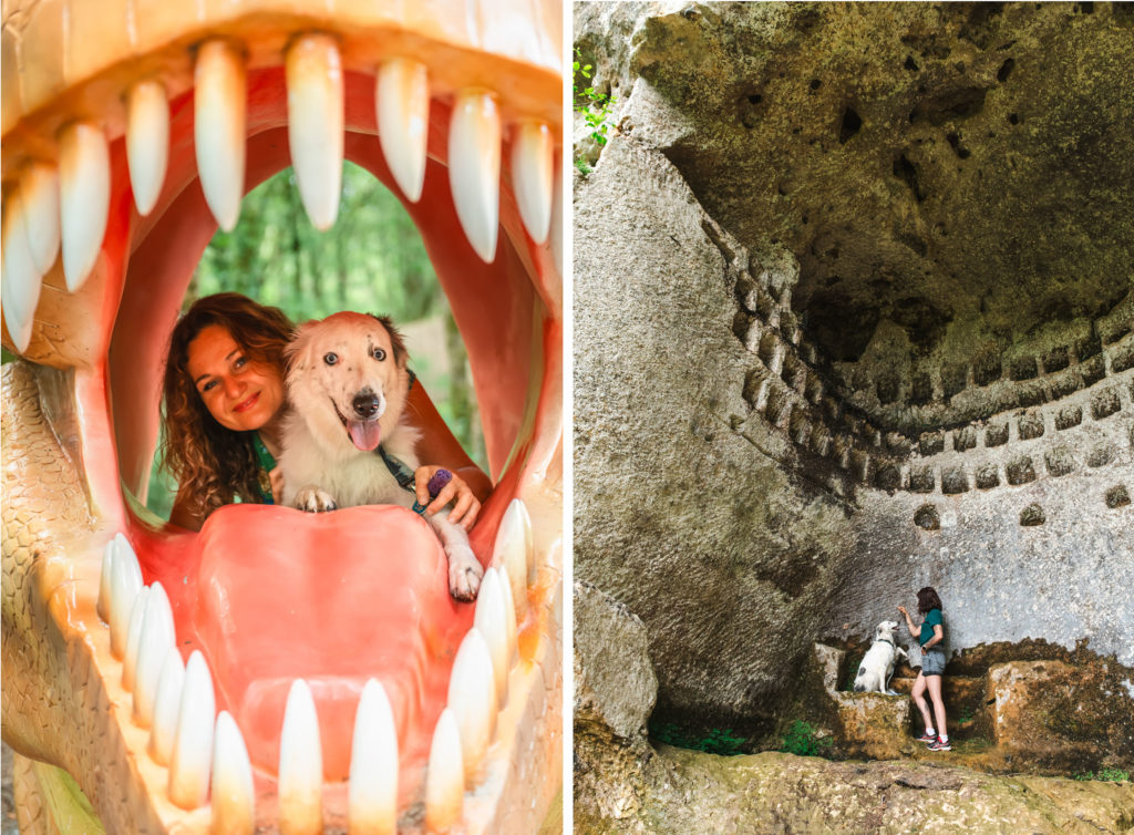 Mit Ihrem Hund durch die Dordogne: Die besten Plätze für Hundeliebhaber