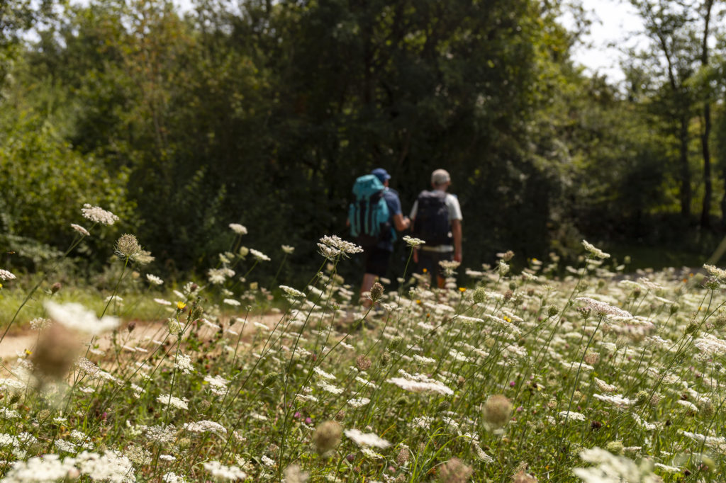 Sur les chemins de Saint Jacques dans le Lot : arpenter le GR652 au départ de Rocamadour, un sentier riche et méconnu vers Compostelle. 