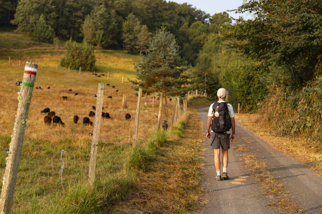 Sur les chemins de Saint Jacques dans le Lot : arpenter le GR652 au départ de Rocamadour, un sentier riche et méconnu vers Compostelle. 