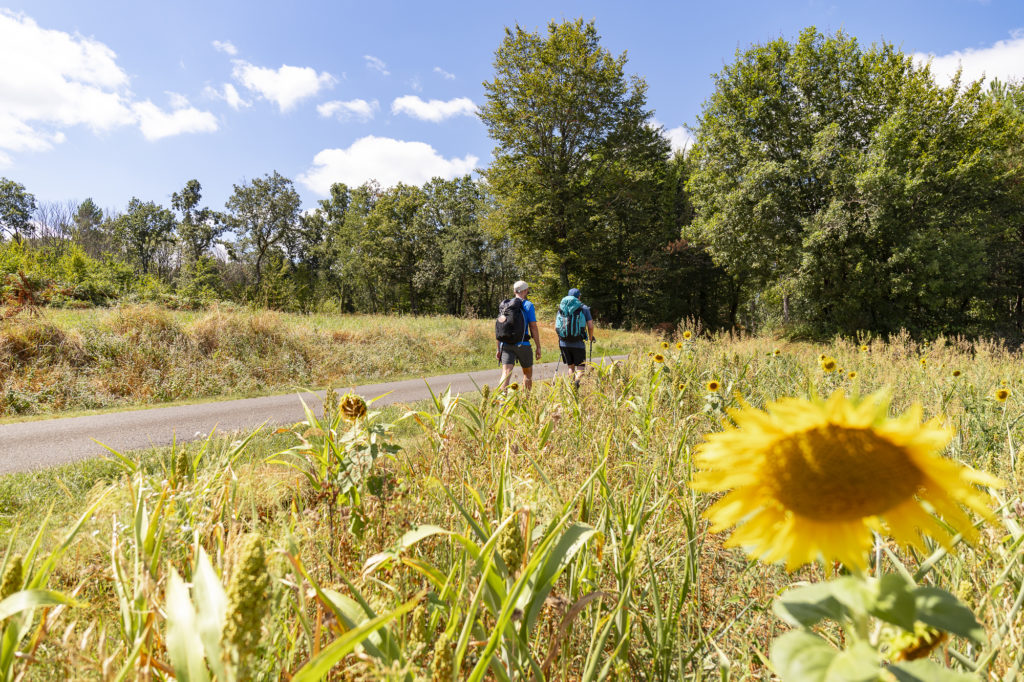 Sur les chemins de Saint Jacques dans le Lot : arpenter le GR652 au départ de Rocamadour, un sentier riche et méconnu vers Compostelle. 