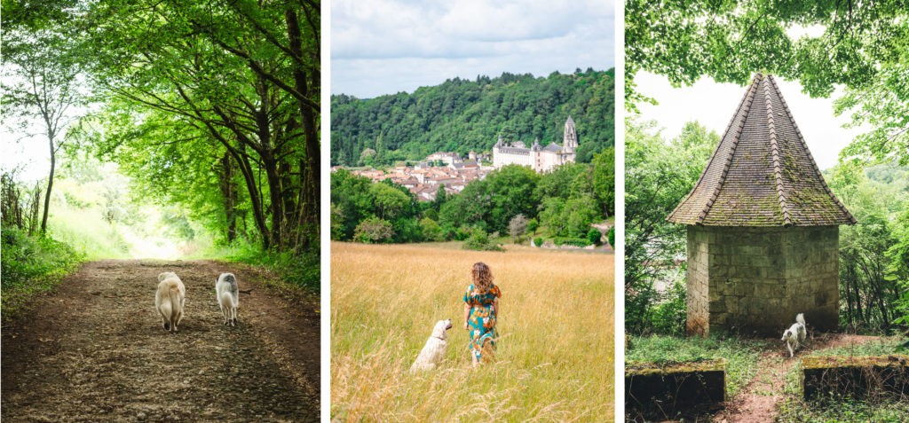 visiter la dordogne avec un chien 