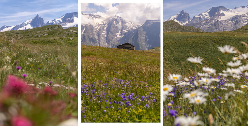 plateau emparis refuge mouterres