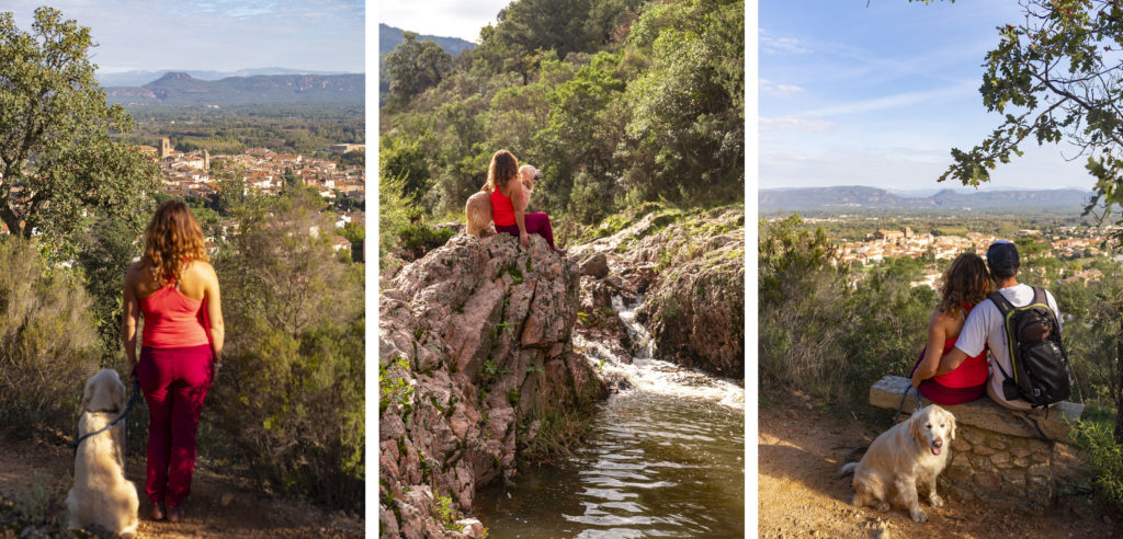 Randonner avec son chien à Roquebrune sur Argens en automne et en hiver