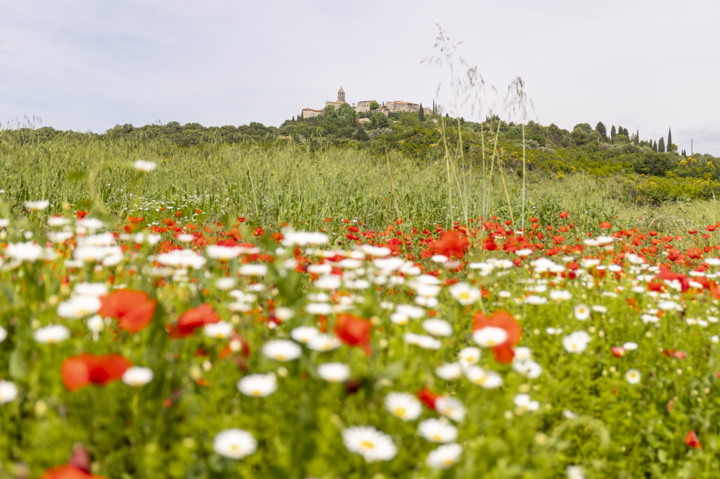 Que faire dans la Drôme? Visiter Grignan, le château de Suze-la-Rousse, la Garde Adhémar. Les châteaux de la Drôme provençale sont des secrets de Provence.