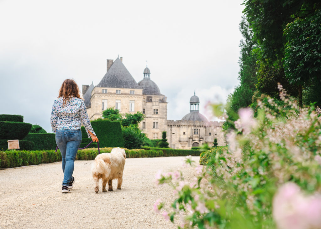 Mit Ihrem Hund durch die Dordogne: Die besten Plätze für Hundeliebhaber