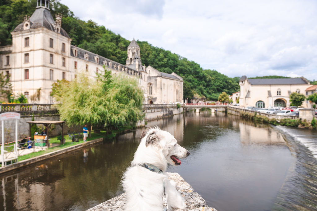 visiter la dordogne avec un chien 